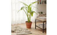 Plant Support Loop Steel Metal Plant Support Loop Decorative Design Blossom Stalk Holder