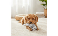 Newspaper Dog Toy Interactive Fake Newspaper Dog Toy Pet-Safe Non for Dogs, Indoor Play