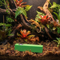 Comfortable Grip Amphibian Feeding Stick Long-Lasting Feeding Perch Mold Resistant for Herp Hobbyists
