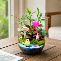 10cm Desktop Moss Mini Landscape Small Potted Live Plant Kindergarten Cut Eco Bottle DIY Kit