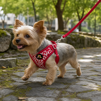 Japanese Style Cherry Blossom Dog Harness and Leash Set for Small to Medium Breeds