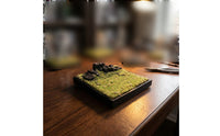 Miniature Diorama Base Green Grassy Grassland Diorama Base Stony Ruins Miniature Scene Base