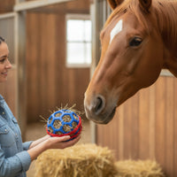 Horse Treat Ball Open-Lattice Feeder Toy with Geometric Cage Boredom Breaker Hay Ball for Horses, Ponies, Stall, Paddock