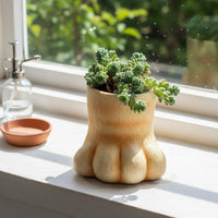 Feline Foot Flower Pot Micro Landscape Decor Cute Cat Foot Planter Creative Small Present Resin Pot for Desktop, Windowsill, Balcony