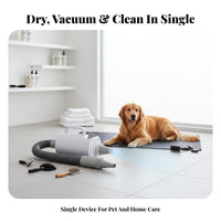 Low Noise High Velocity Dog Dryer Quick Dry High Velocity Pet Dryer Long-Lasting Engine Heated Pet Grooming Blower Multiple Nozzles for Home Use
