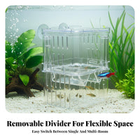 Aquatic Creature Breeding Box High Clearness Buoyant Aquatic Creature Breeder Box Removable Divider Twin-Chamber-Tier Design