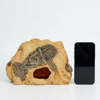 Resin Aquarium Rock Cave Decorations and Reptile Hideout, Aquatic Tank Decorations for Turtles, Aquatic Tank Ornaments for Snakes