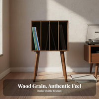 Vinyl Album Storage Rack Vintage Design Vinyl Album Storage Cabinet for Study