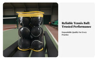 12 Pieces Multi-Color Training Tennis Balls Long-Lasting Practice Tennis Balls Long-Lasting Rebound for Beginners, Students, Outdoor Play