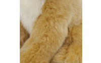 Lion Cub Stuffed Soft Lion Cub Stuffed Animal Toy High Quality Safety Tested for Children, Playroom, Nursery