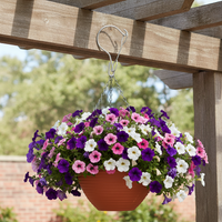 Rotating Windproof Stainless Steel S-Hook for Outdoor Hanging Baskets and Lanterns