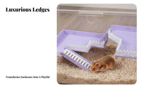 Includes Hideout and Fence elevated platform deck with Ladder Two-Story Design Wooden Activity deck Pet Enrichment habitat Accessory Set Relieves Boredom for Hamsters, Gerbils, Mice, Playpen