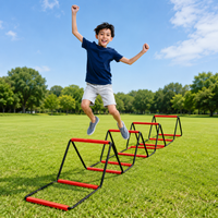 agility ladder