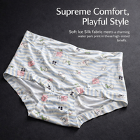 Underwear Women High Waist Knickers with Ice Silk Nylon Material, Breathable Panties for Everyday Wear and All Season Use, Comfortable Fit