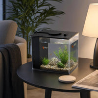 Mini Desktop Betta Fish Tank with Side Purifier, LED
