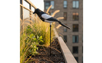 Waterproof Fake Magpie Plastic Realistic Magpie Model Lifelike Outdoor Bird Prop Weather-Resistant for Yard, Orchard