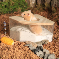 Oak Wood Hamster Bath and Hamster Sand Bath, Fan Shaped Hamster Toilet for Dwarf Hamsters, Transparent Container with Removable Lid, 142 Chars