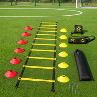 agility ladder set