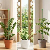 Plant Support Stakes for Indoor Potted Plants, Climbing Vines, and Garden Flowers - Green Coated Steel Rods with Ties and Caps