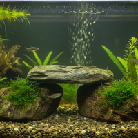 Natural River Rock Aquarium Landscape Stone for Fish Tank Decoration