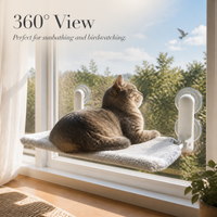 Foldable Suction Cup Cat Hammock Bed for All Seasons
