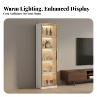 Glass Door Display Cabinet Light Upscale Design Glass Door Display Cabinet Dust-Resistant Freestanding Display Case for Collectors