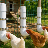 Chicken Feeder with Mounting Brackets Wall-Mounted Automatic Chicken Feeder for Fenced Running