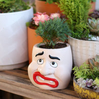 Funny Design Resin Face Planter Whimsical Face Planter Decorative Novelty Flower Pot Sturdy for Outdoor, Yard, Patio