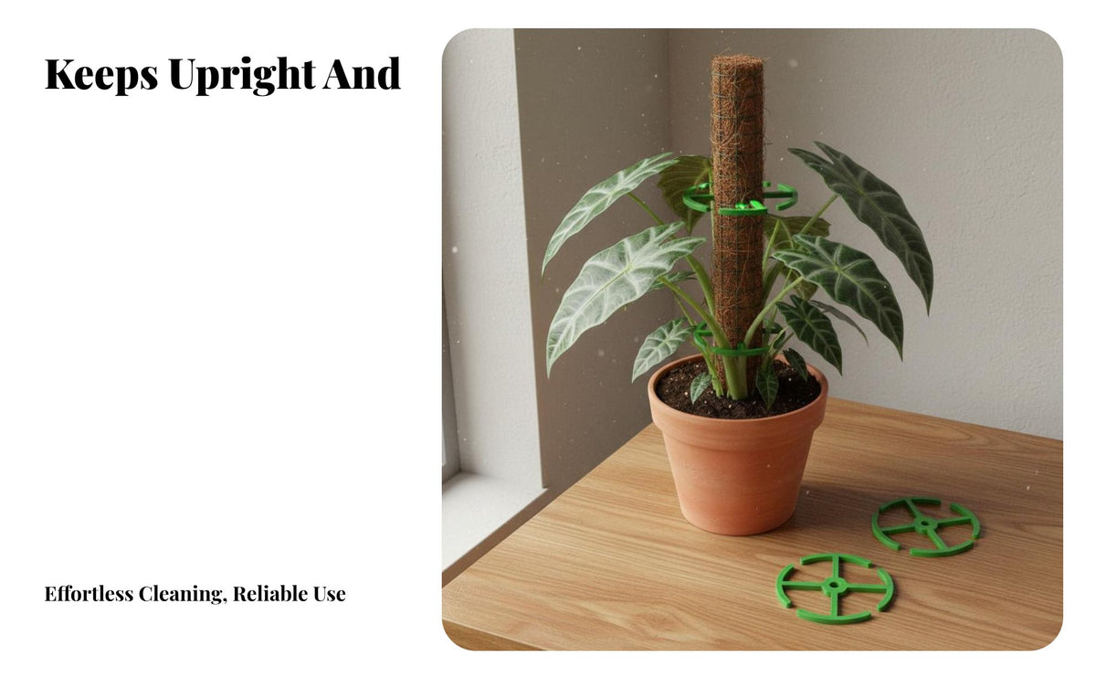 4 Pieces Alocasia Support Holder Reusable Indoor Plant Support Loop S Easy Installation Plant Climbing Frame for Gardeners, Homeowners, Indoors