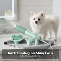 Low Noise High Velocity Dog Dryer Fast Drying High Velocity Dog Blower Lightweight Design Quick Dry Pet Dryer Adjustable Temperature and Speed