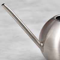 Long Spout Indoor Watering Can, Small Metal Watering Can 1000ml, Stainless Steel Spherical Design for Houseplants