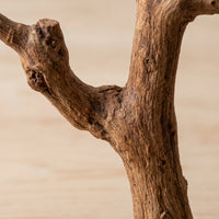 Grapewood Bird Perch Stand for Parrots and Birds, Natural Wood Cage Accessory