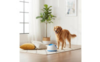 Independent Play Adjustable Dog Ball Launcher Indoor Outdoor Use Automatic Dog Ball Launcher Exercise Training Automatic Fetch Toy Portable for Dogs