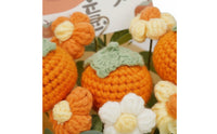 Finished Product Knitted Flower Arrangement Ready to Display Handmade Yarn Flower Arrangement Maintenance-Effortless Crochet Potted Flowers Everlasting Beauty for Mothers, Girlfriends, Teachers, Mother's Day, New Year, Birthday, Home Decor