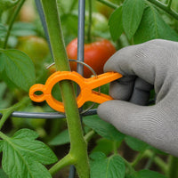 Plant Support Clips for Climbing Vines, Tomatoes, and Garden Plants