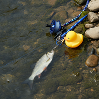 Stainless Steel Live Fish Lock with Ground Plug and Lure Wheel for Fishing