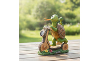 Turtle Statue with Solar Light Resin Solar Turtle Statue Adorable for Homeowners