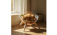 Space Capsule Cat Bed Four-Season Use Clear Acrylic Cat Bed Modern Design Clear for Balcony