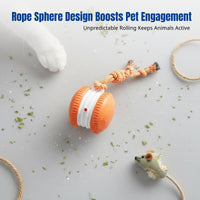 Pet Toy Ball, Durable Chew Toy with Rope, Interactive Bouncing Ball for Cats and Dogs, Random Color