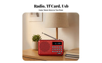 Carrying Strap Portable Radio Speaker Keypad-Style Controls Digital Radio Speaker