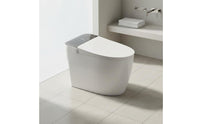 Single Piece Smart Toilet Sterilization Voice Control Toilet Night Light Built-in Reservoir