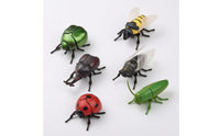 6 Pieces Boxed Set Wind-up Toy Articulated Legs Crawling Bug Toy Translucent Wings Plastic Figure Printed Color Box