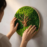 preserved moss wall art