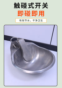 Automatic Drinking Bowl for Cattle, Horses, and Sheep