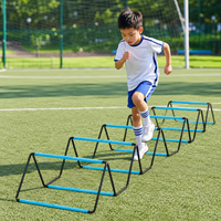 agility ladder