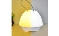 Two-colorColor Fungus Night Light Cordless Rechargeable Night Light Fungus Lamp