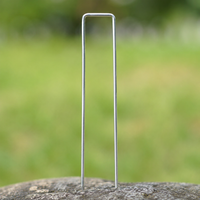 ground stake