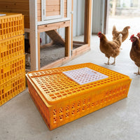 Pigeon Transport Crate 75x55x19cm Polymer Poultry Transport Cage, Heavy Duty Chicken Transport Box for Smallholder, Agricultural Show