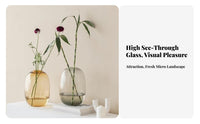 Minimalist Design Glass Flower Vase Elegant Design Oval Glass Vase Classic Shape for Home Decorators, Homeowners, Showroom, Tabletop, Office