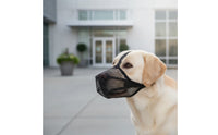 Breathable Dog Muzzle with Mesh Basket Lightweight Mesh Dog Muzzle Comfortable Mouth Cover Secure for Vet Visits